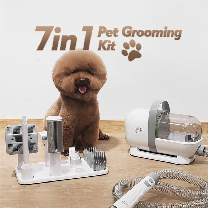 KINYU 7 In 1 Professional Cat  - Grooming Scissors recension och pris
